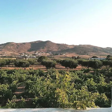 Vagia In The Vineyard Casa vacanze Paro